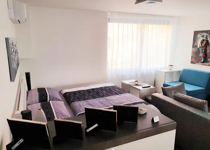 G Support Apartament *